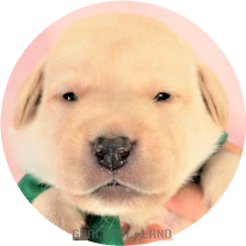 Hdkqpqqhr9wttm Hdkqpqqhr9wttm